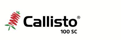 callisto 100 Syngenta 