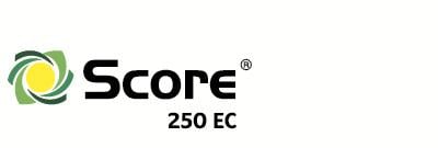 score Syngenta 