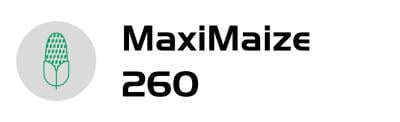 MaxiMaize 260- logo