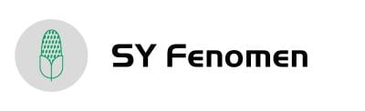 fenomen-logo