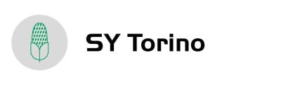 torino-logo