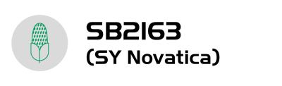 SB2163 (SY Novatica)-logo