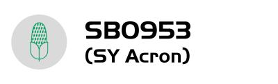 acron-logo