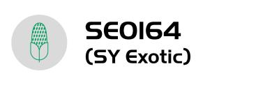 Logo SEOI64 (SY Exotic) s ikonou mikrofonu v zeleném kruhu