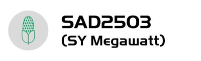 Logo mikrofonu a text „SAD2503 (SY Megawatt)“