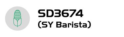 Logo s ikonou mikrofonu a textem „SD3674 (SY Barista)“