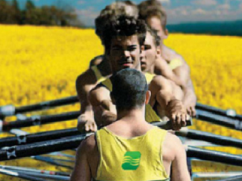 brasan Syngenta