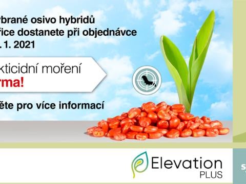 Akce insekticidní moření osiva kukuřice zdarma