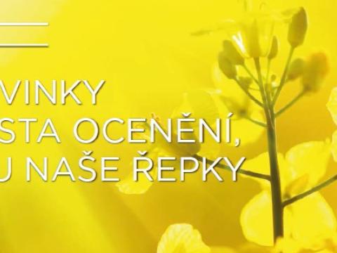 repka banner
