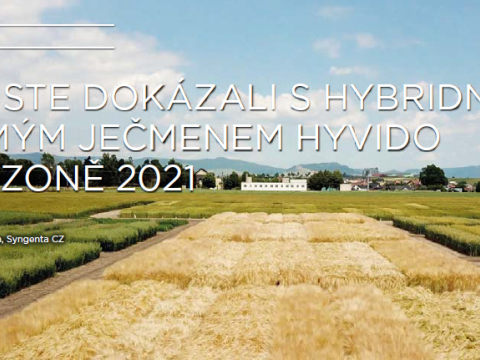 Hyvido