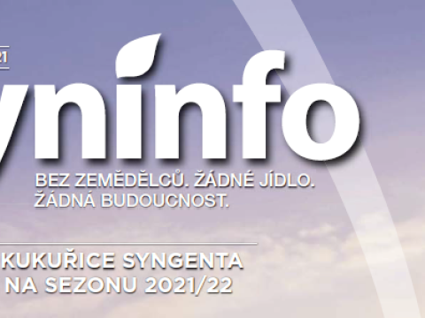 Syninfo 12 2021