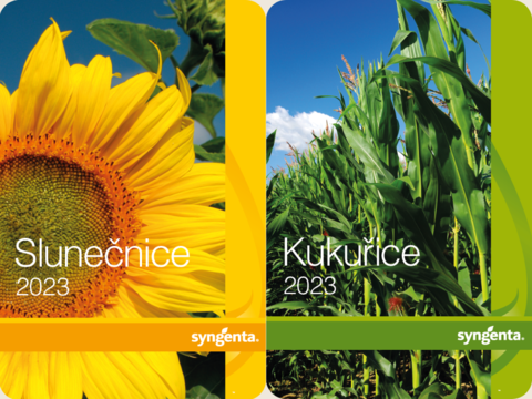 slunecnice a kukurice katalog 