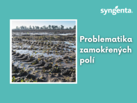 aktuality_vixeran_rozmer_285x214_4_ku_3.png