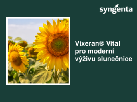 cz-sln.png