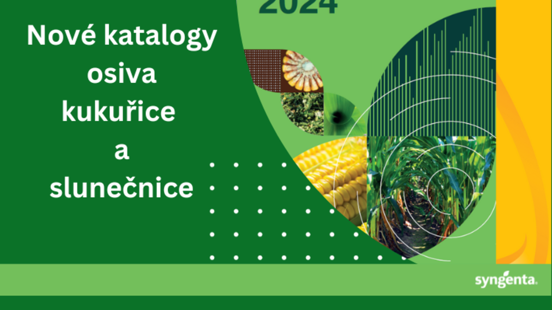 Katalog kukuřice a slunečnice 2024