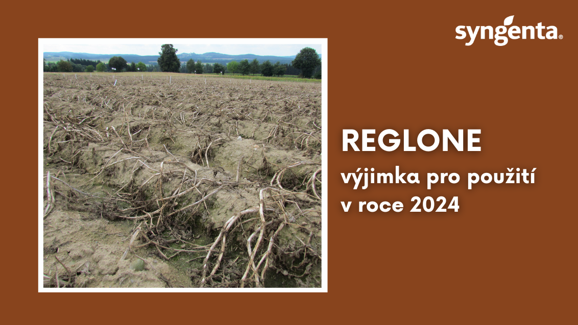 web_aktuality_reglone 2024_rozmer_1132x637_16_ku_9.png