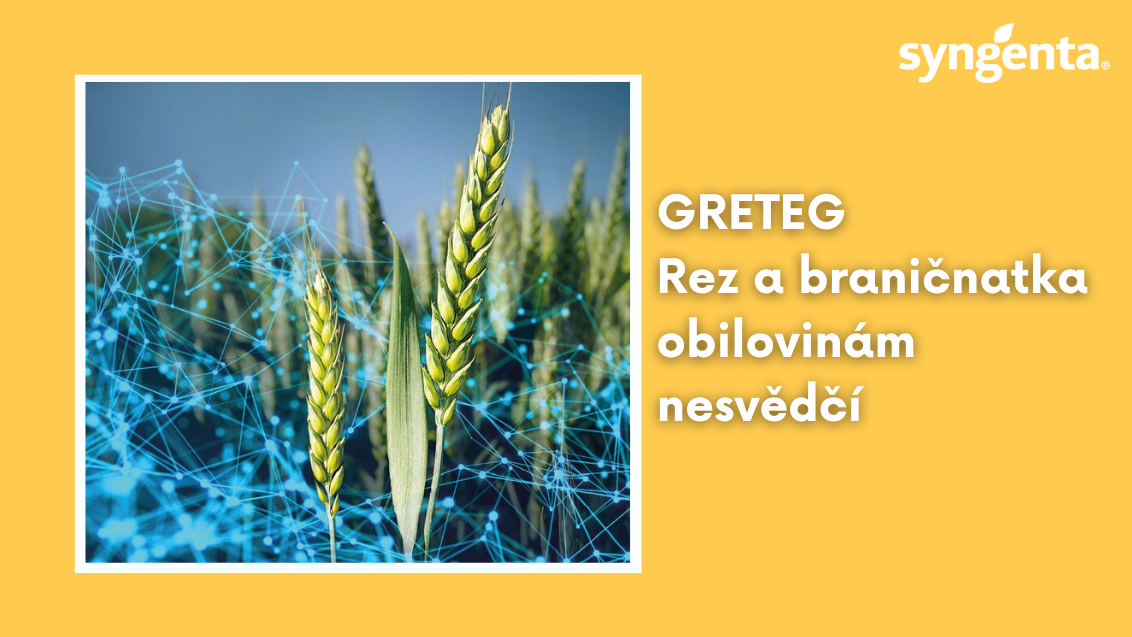 web_aktuality_greteg_rozmer_1132x637_16_ku_9.png