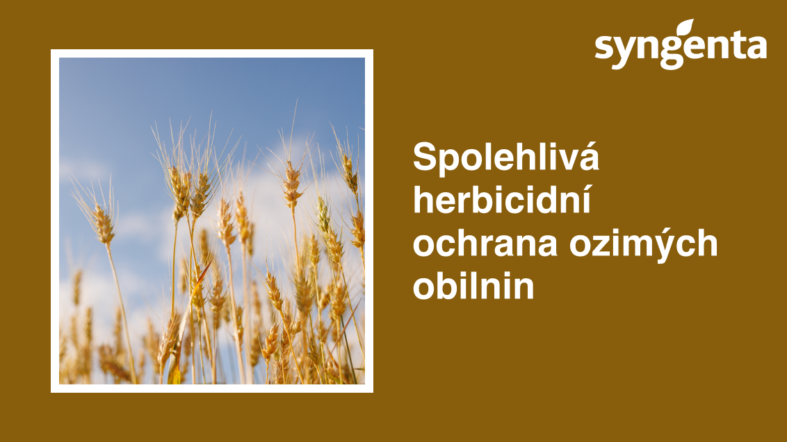 l_thumb_ochrana_ozimych_obilnin.png