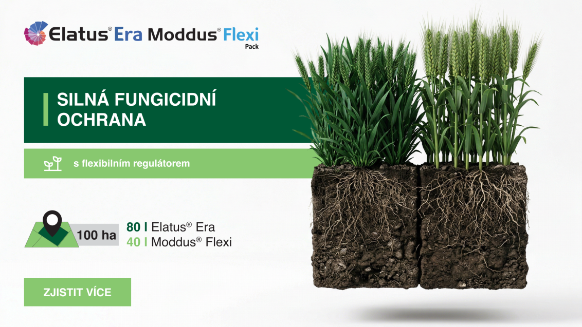 cz_hero_elatus_era_moddus_flexi_2026.png