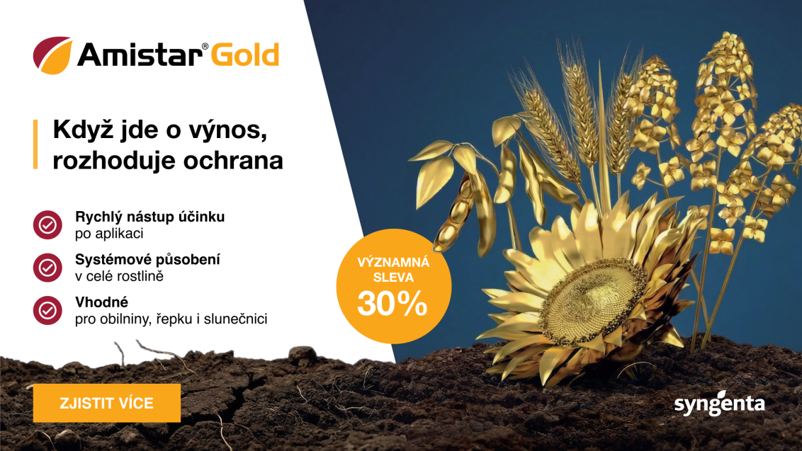 cz_hero_amistar_gold_2026.png