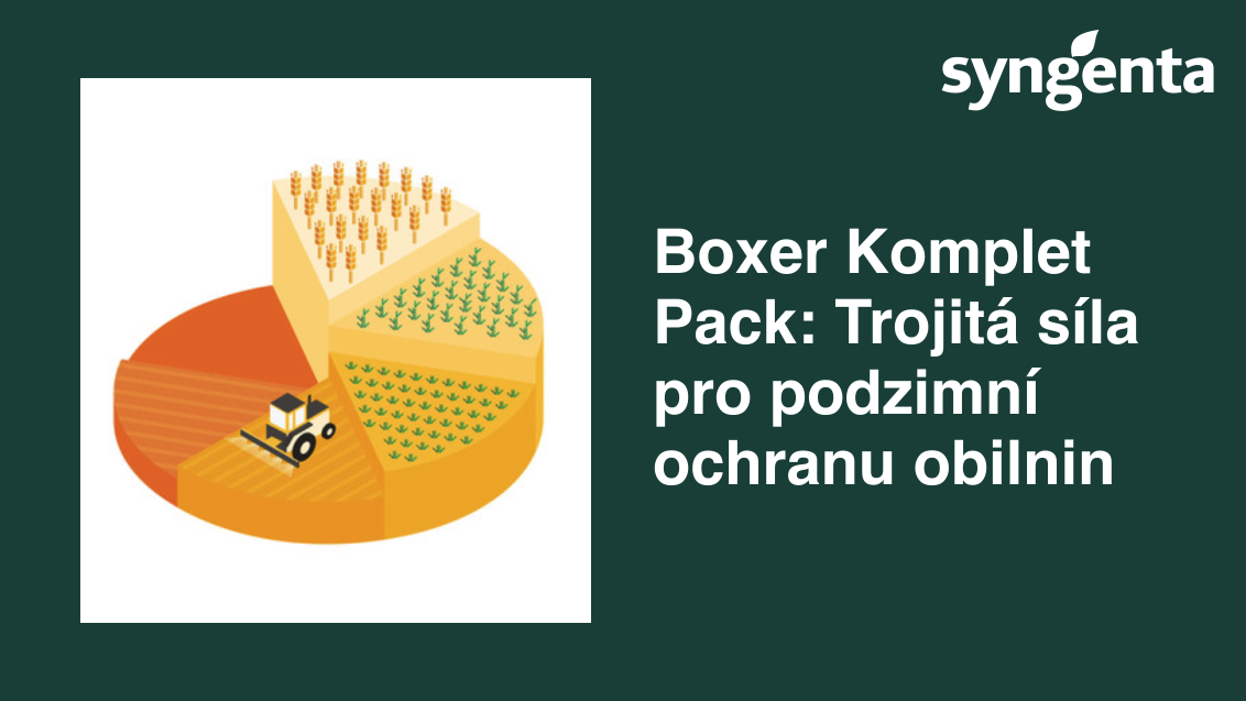 Grafika Syngenta: Boxer Komplet Pack, trojitá síla pro podzimní ochranu obilnin