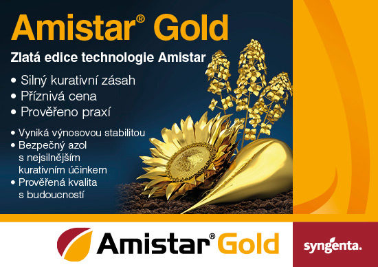 amistar gold_maly_banner