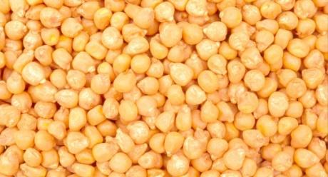 seeds Syngenta