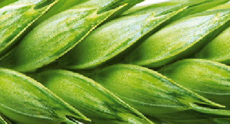 atplus Syngenta