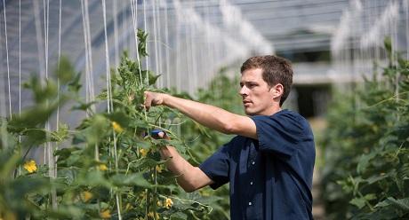 highres man Syngenta