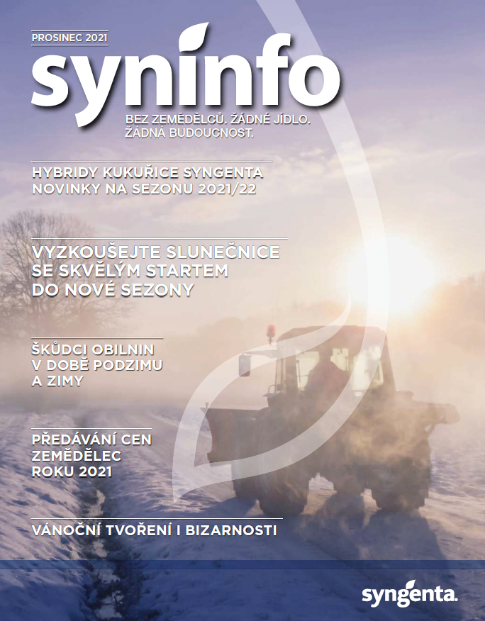 Syninfo prosinec 2021