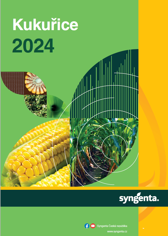 Katalog osiva kukuřice Syngenta 2024
