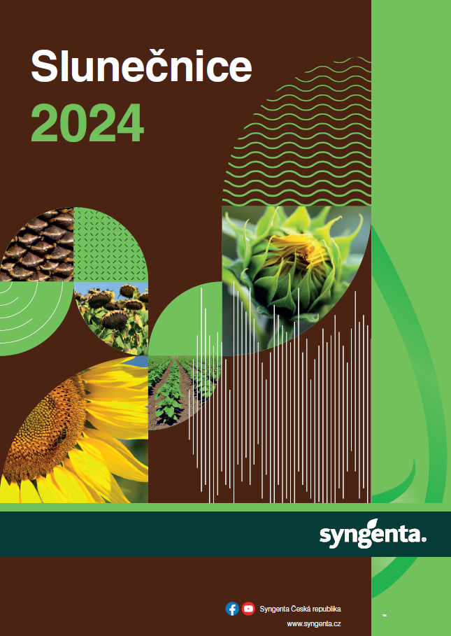 Katalog osiva slunečnice Syngenta 2024