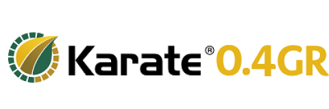 400_x_135_karate_04_gr.png