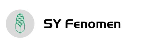 fenomen-logo