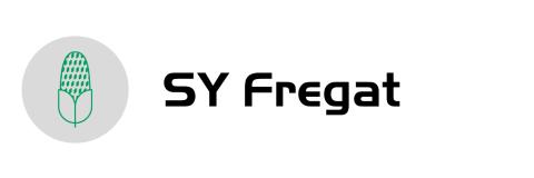 fregat-logo