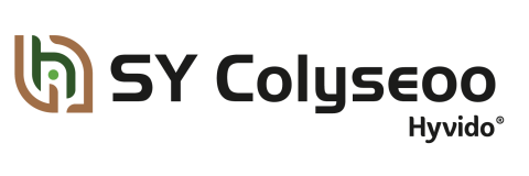 SY_Colyseoo
