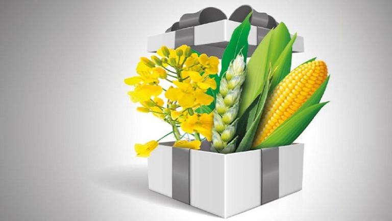 Balíčky přípravků 2017 Syngenta 