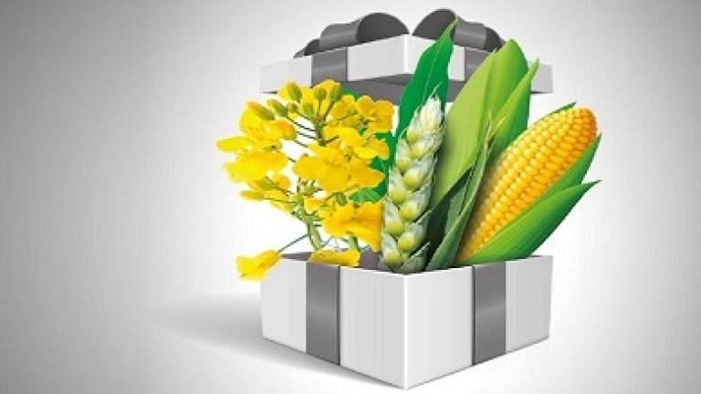 cta balicky Syngenta 