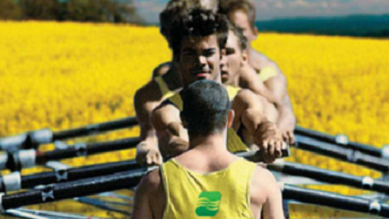 brasan Syngenta