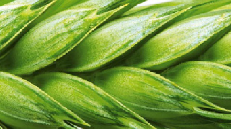 atplus Syngenta