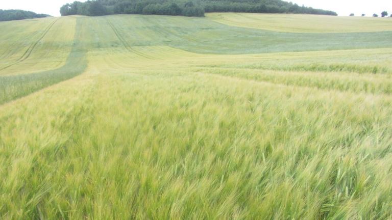 ucinnost postrikovace Syngenta
