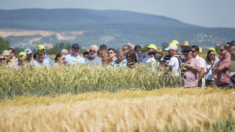 Pozvánky na akce Syngenta