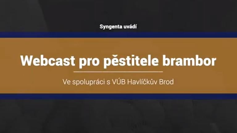 rozhovor o pěstování brambor 2021