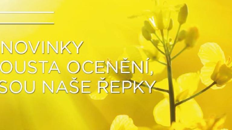 repka banner