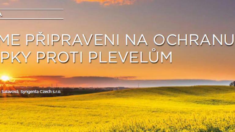 herbicidy do řepky