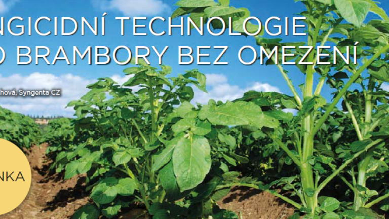 Fungicidy do brambor Syngenta