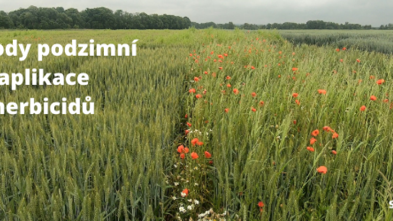 Podzimní herbicidy Syngenta Defi Evo a Boxer