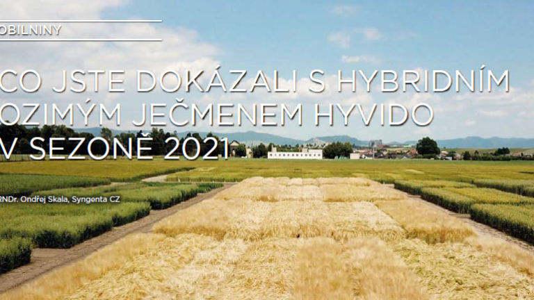 Hyvido