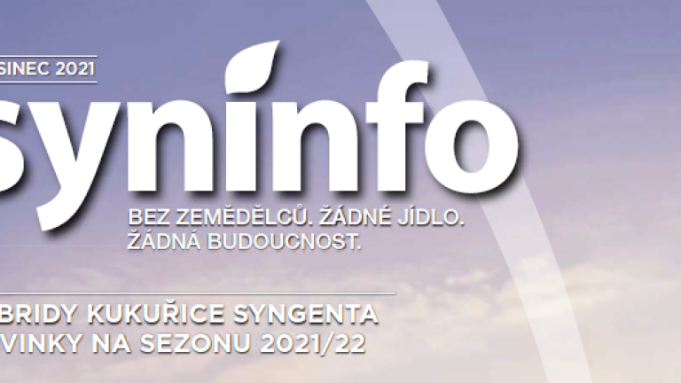 Syninfo 12 2021