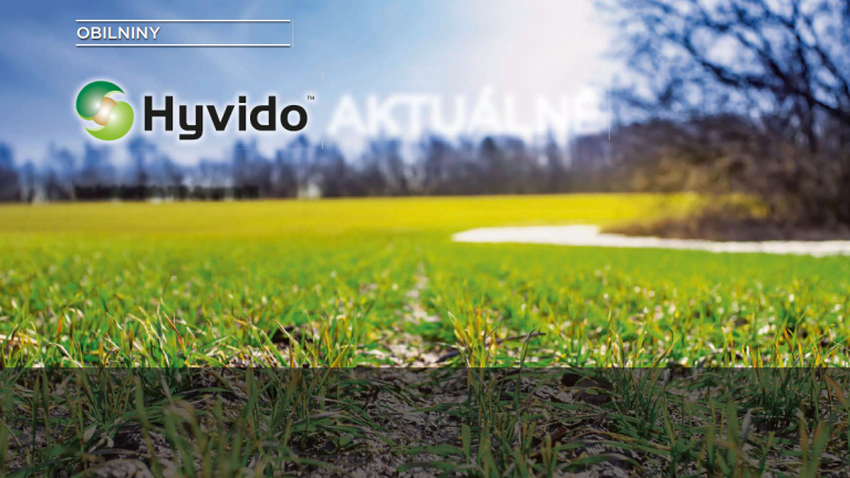 Hyvido
